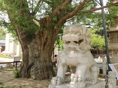 -北京石刻艺术博物馆(五塔寺)