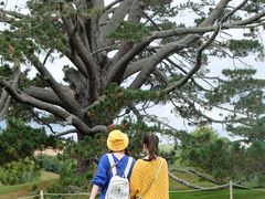 -霍比特人村