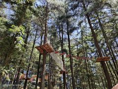 -重庆睡佛山森林公园
