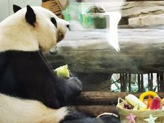 -灵玲国际马戏城