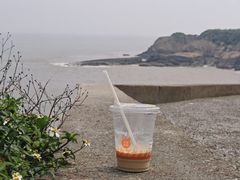 -温岭石塘海边