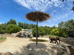 -北京野生动物园