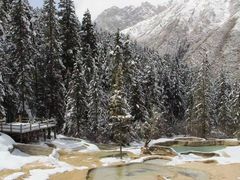 -黄龙山原始森林景区