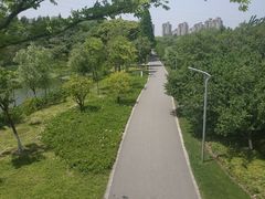 -昆山城市生态森林公园