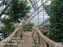 -南山植物园