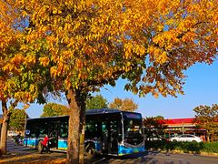 -北京西山国家森林公园