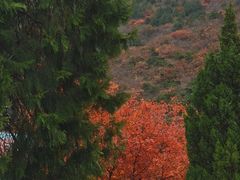 -北京十三陵国家森林公园蟒山景区