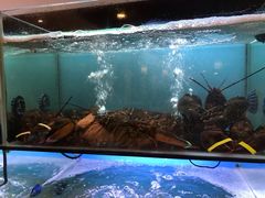 -南海渔家•海鲜•正宗海南菜(海棠湾店)
