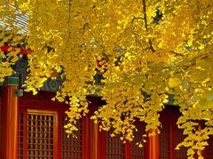 -承恩寺