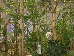 -施奈儿.洗头頭療.按摩SPA.采耳(上梅林店)
