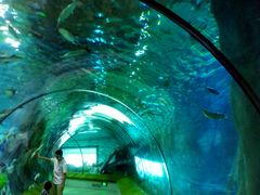 海底隧道-福州罗源湾海洋世界旅游区