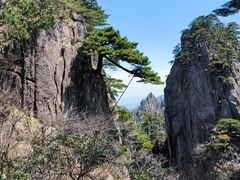 -黄山风景区