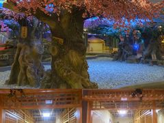 -沈阳龙润夏宫温泉水乐园
