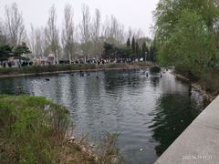 -长白岛森林公园