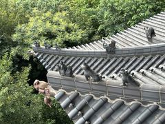 -杭州半山国家森林公园