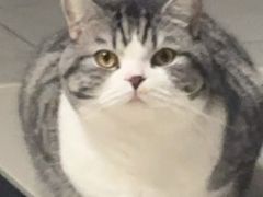 -官也街