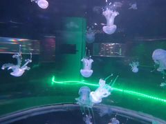 -无锡动物园·太湖欢乐园