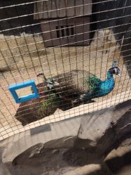 -酷嗒动物文化乐园(cutezoo西溪乐天城店)