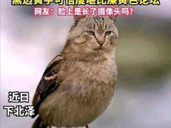 -浦乐汇·汤泉水世界