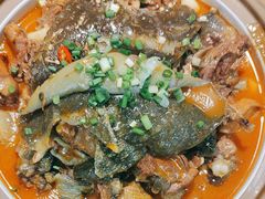 -洞庭家宴·头牌甲鱼(广渠门店)
