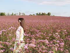 -紫颐香薰山谷景区