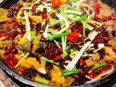 -老板恋上鱼(恒隆广场店)