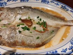 陈皮丝蒸黄花鱼-银珠渔港·海鲜砂锅粥