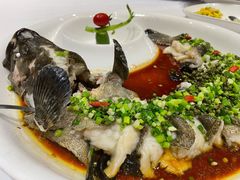 藤椒鱼-味茂·老船夫1927(东海东路店)