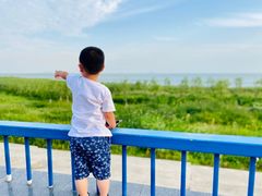 -合肥滨湖国家森林公园