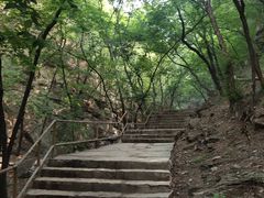 -北京上方山国家森林公园