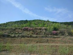 -山西通天峡景区