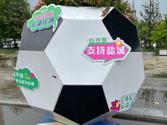 -荷兰花海