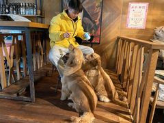 -萌喵咖啡屋(人民东路4号口M16商铺店)