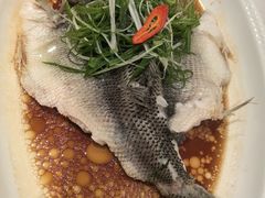 -天喜酒楼饭市·茶市(同德皇宫店)