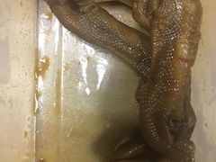 -宜昌富力皇冠假日酒店·咖啡1号西餐厅