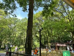 -WeLope紫金山探险公园