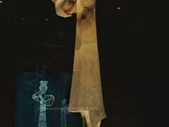 -三星堆博物馆