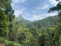 -西双版纳基诺山寨