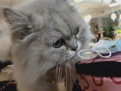 -小时光咖啡馆(北锣鼓巷店)