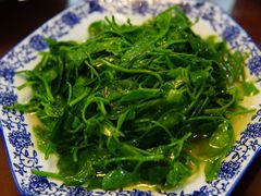 -呼吸森林·生态农庄农家乐私房菜