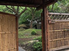 -新洲生态园