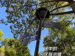 -深圳仙湖植物园