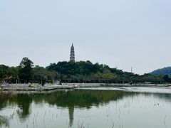 -顺峰山公园