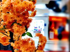 -吉野家(上海美罗城店)