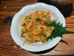 青瓜拌蛤蜊-小川洋风料理(街道口店)