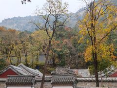 -北京上方山国家森林公园