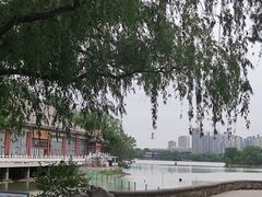 -天津水上公园