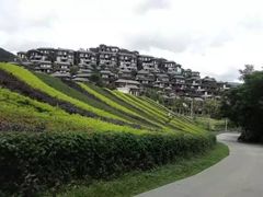 -呀诺达热带雨林