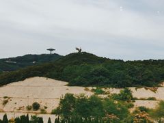 -渔公码头·九龙湾国际饭店