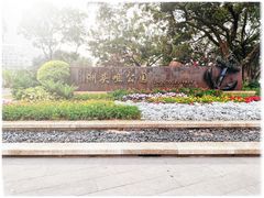 -洲头咀公园